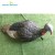 Import Soft plastic hunting turkey decoy for wild hunting OEM from China