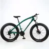 Solid steel frame Mountain bike adult beach snowmobile large tires male and female student variable speed vehicle