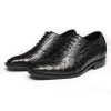 Stylish high quality Ostrich men dress elevator leather shoes