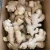 Import Super fresh organically grown ginger from China from China
