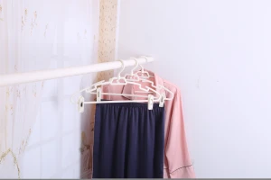The most popular plastic clothes hangers are custom colored dress hangers for home use