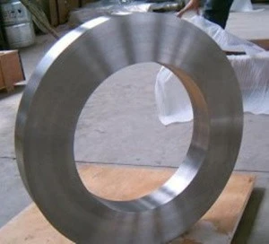 Ti-6AL-4V Titanium forged ring