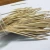 Import TMI Manufacturer Fancy Cute Toothpick Good Quality/ OEM Accept from Thailand