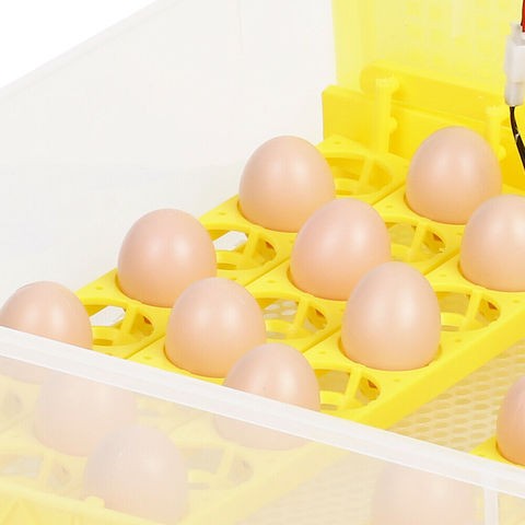 Tolcat  LED Light Dual Power 98%  high quality automatic mini chicken egg incubator/couveuse/brooder/hatcher