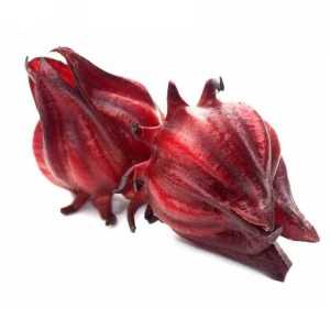 Top Quality | 100% Pure Roselle Hibiscus Seed Oil | Natural Carrier Oils at Factory Price
