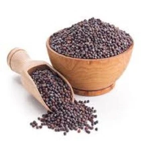 Top Quality Black and Yellow Mustard Seeds