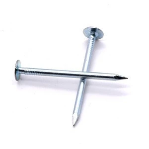 Top Quality Clout Head Zinc Plated Cupper Nails