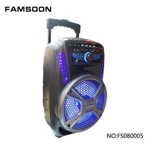 Trolley rechargeable pa speaker with bluetooth and mic