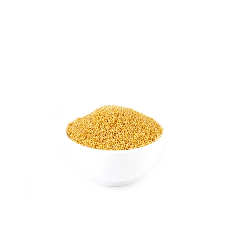 Various Good Quality Organic Supplier / Proso Yellow Millet