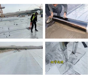 Waterproof material SBS Roof repair membrane Building roof waterproofing membrane for sales
