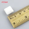 White Refreshing Mint Sugarfree Chewing Gum (No Brand)