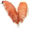 Wholesale  70-75cm brown Ostrich Feather for Wedding Centerpiece