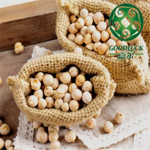 Wholesale China chickpeas of xinjing origin(2013 crop)