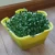 Import Wholesale DIY Vegetable Planting Eco-Friendly Foot Grade PP Material Sprout Seeding Tray from China