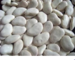 Wholesale Dry Lima Beans Size 50-60 For Export / Large White Kideny Bean