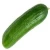 Import Wholesale Fresh Cucumber / Price Of Fresh Cucumber / Fresh Cucumber from Philippines