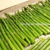 Wholesale Healthy Dried Style Vegetables Product Freeze-Dried Green asparagus