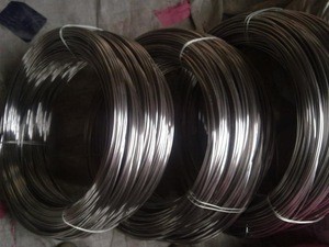 Wholesale high tensile  din stainless steel spring wire