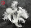 wholesale new product washed duck down feather for sale