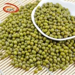 Wholesale Premium Quality Green Mung Beans Medium Grains vigna beans the northeast export mung bean