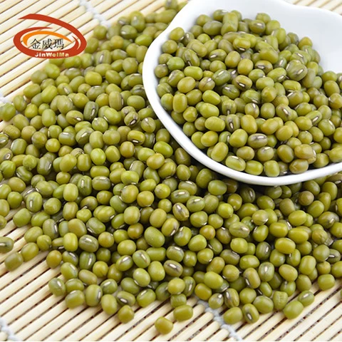 Wholesale Premium Quality Green Mung Beans Medium Grains vigna beans the northeast export mung bean