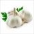 Import Wholesale Price Fresh Garlic -New Crop for Export at Affordable Price from Brazil