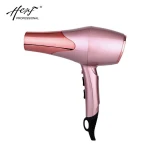 Wholesale Professional Customized 1800-2600W Hotel Salon Ionic Hand Hair Dryer