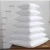 Import Wholesale suppliers 30x50 60 x 60 cushion feather filled cushion from China