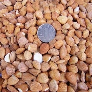 Wholesale Sweet Almond in shell and without shell