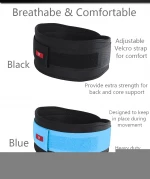 Wholesale Weightlifting Back Support Belt Waist Trimmer Trainer Heavy Lifting  Brace