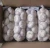 Import wholesale white fresh garlic with mesh bag packing from China