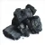 Import wood charcoal from Belarus