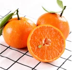Fresh Mandarin orange honey mandarin