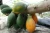 Import SHINANTW TAIWAN Fresh Papaya (plan in net grow room) from Taiwan