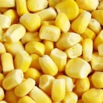 Wholesale Yellow Sweet Corn Frozen Corn Kernels