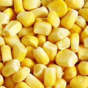 Wholesale Yellow Sweet Corn Frozen Corn Kernels