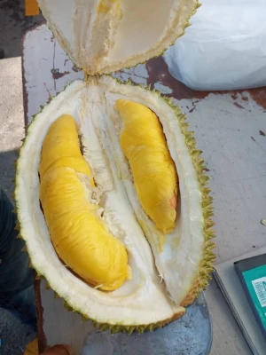 Premier Grade Frozen Musang King Durian