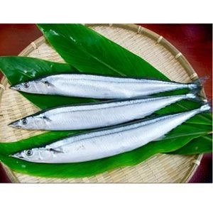 2021 new good quality fresh seafood frozen fish whole round pacific saury price for sale frozen pacific saury w/r
