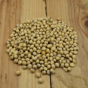 Premium Quality Non-GMO Fresh Soybean Seeds Soybean/Soja Bean High Quality Ingredients