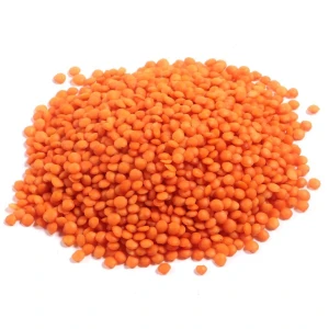 Wholesale Lentils Exporter | Red, Green, Black & Yellow Varieties Available