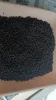 BLACK PEPPER