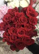 Wholesale Fresh Cut Flowers, Roses, Lilium, Ghypsophilia etc.
