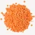Import Wholesale Lentils Exporter | Red, Green, Black & Yellow Varieties Available from Kenya
