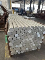 Magnesium Billets