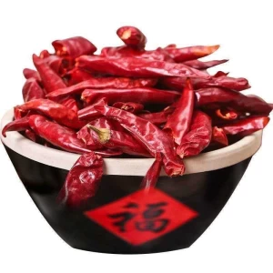 Red Chilli fresh with best price from factory fresh chilli South Africa