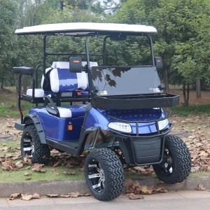 4 person hunting golf cart for sale,4 passenger electric golf cart,4 seater cheap golf cart for sale