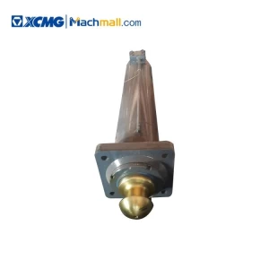 XCMG crane spare parts booster cylinder CQ261 *803000097