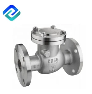 Stainless Steel 304 Filter Flange End SS Y Strainers