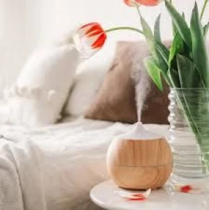 Wooden Light Brown Aroma Diffuser with Plastic Base