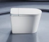 Smart Toilet Seats